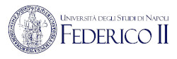 Università degli studi di Napoli Federico II